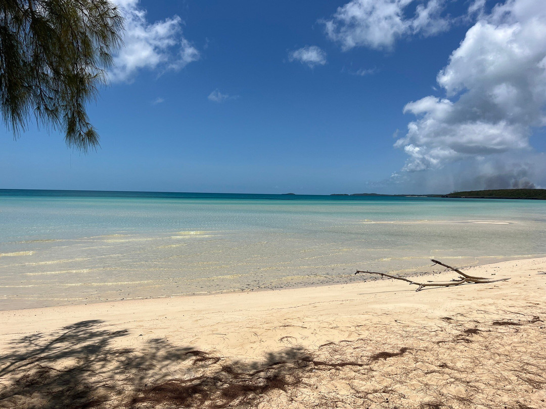 Fishbone Tours-伊柳塞拉必去景点