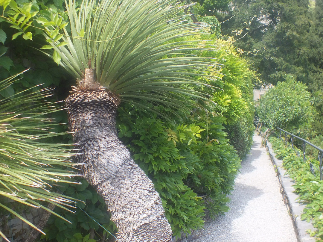 Il Giardino Botanico景点图片