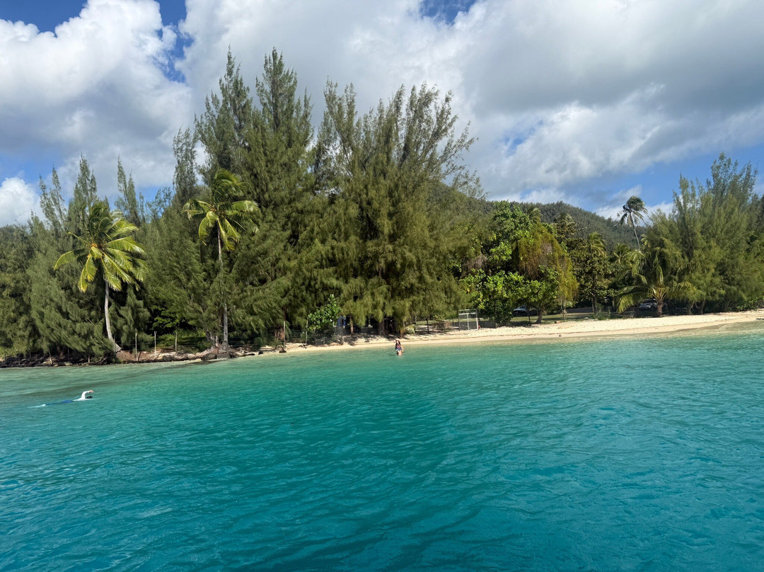 Moorea Explorer-马哈雷帕必去景点