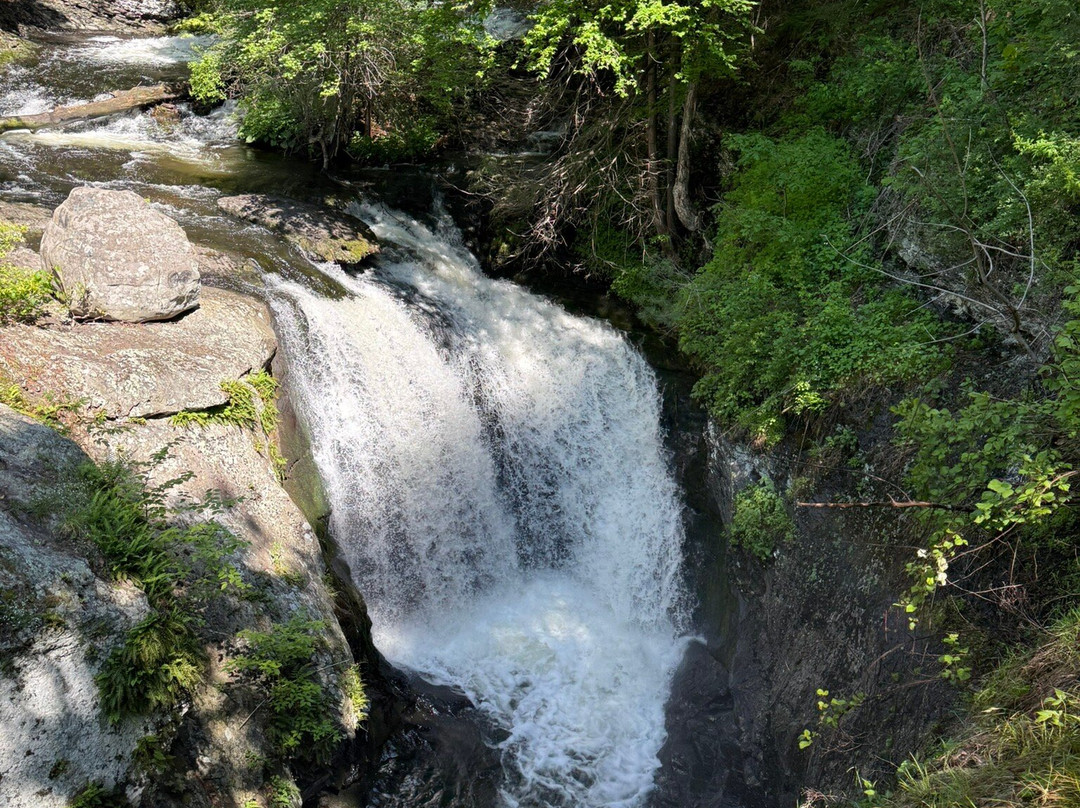 Marshalls Falls-Marshalls Creek必去景点
