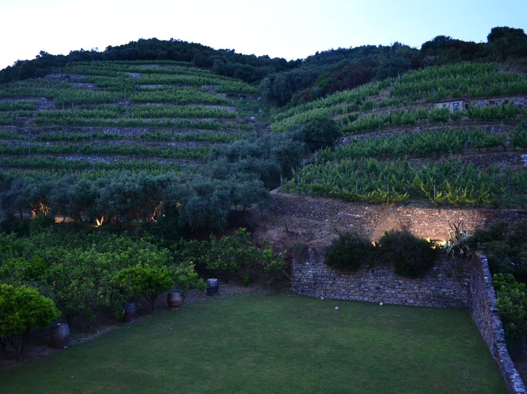 Buranco Agriturismo-滨海蒙特罗梭必去景点