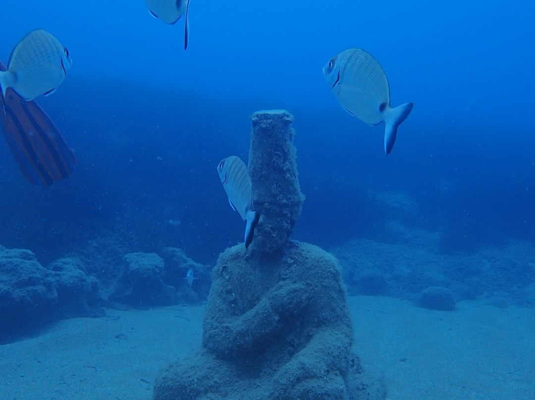 Scuba Side景点图片
