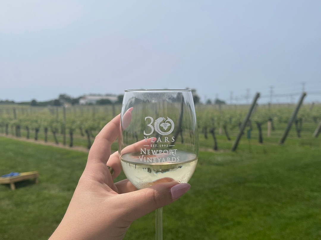 Newport Vineyards-米德尔敦必去景点