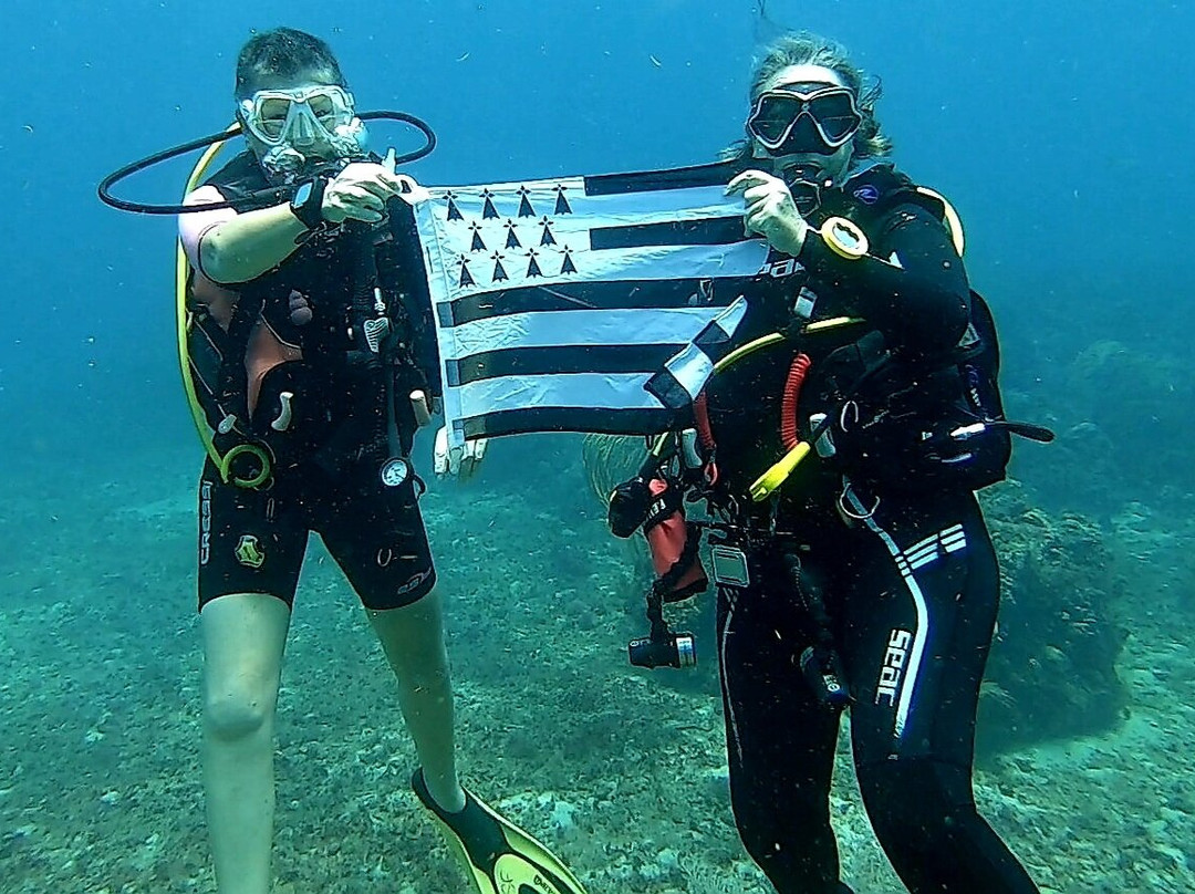 Tropicalsub Diving-Deshaies必去景点