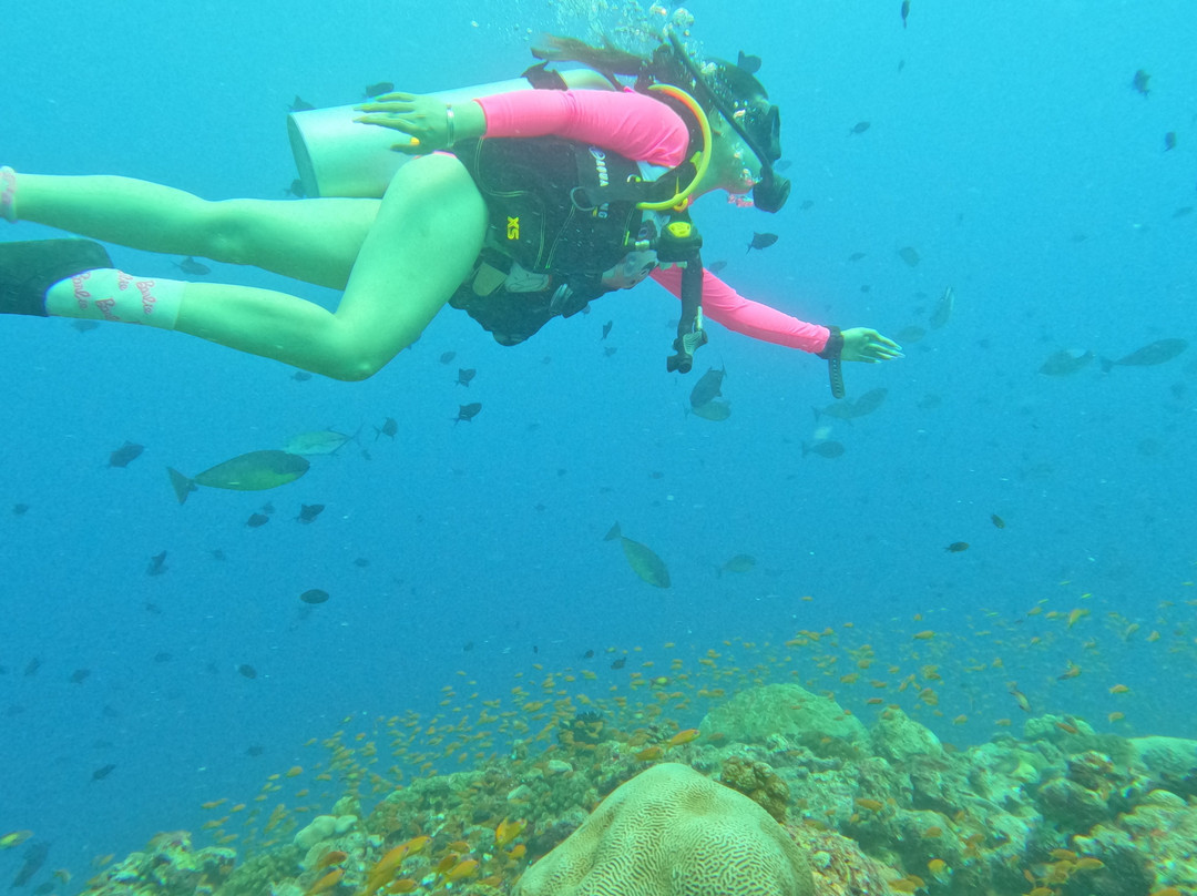 Alihuras Rasdhoo Dive & Excursions景点图片