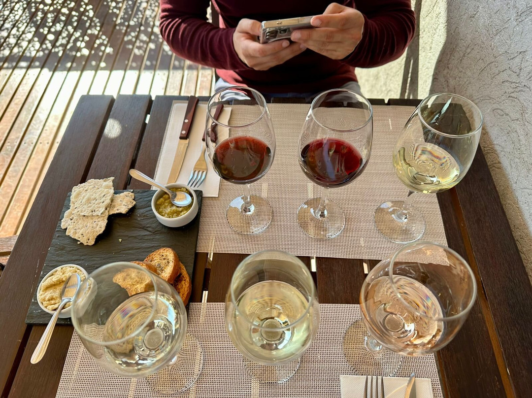 Mevi Bodega Boutique-Maipu必去景点