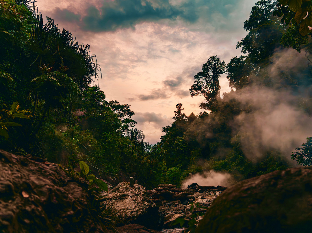 Sumatra Ketambe Jungle Tours-Ketambe必去景点