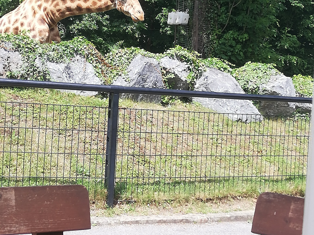 Zoo de Maubeuge-莫伯日必去景点
