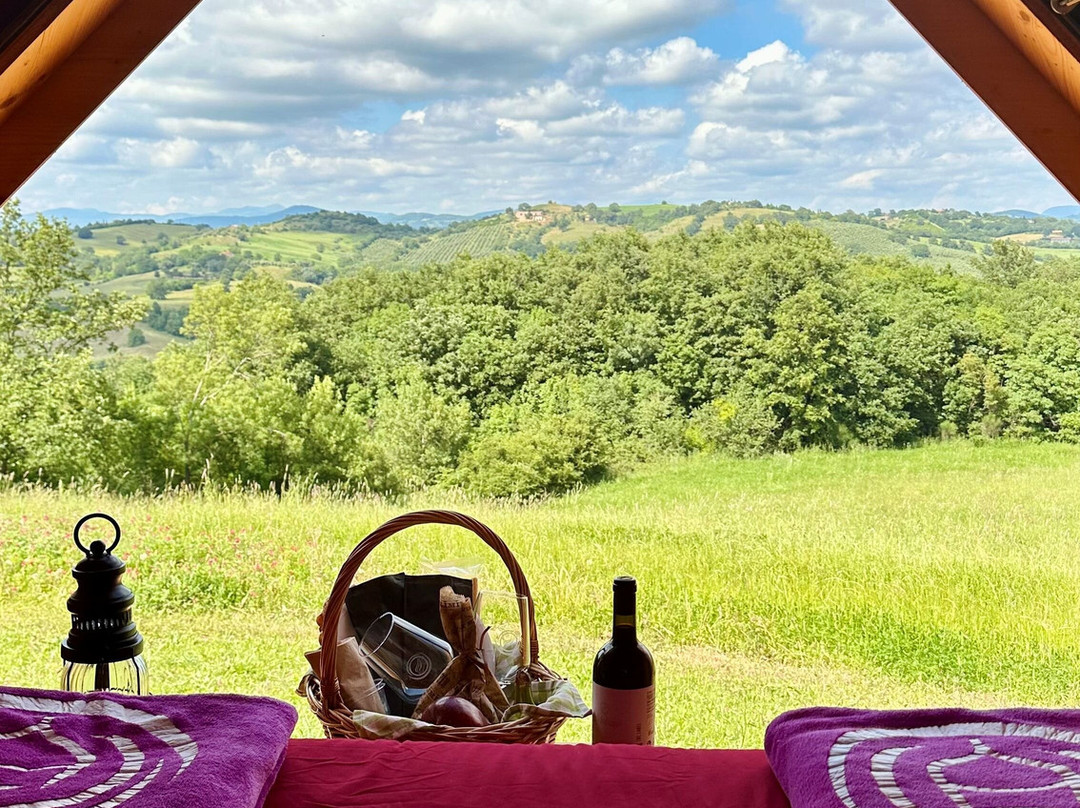 Fattoria La Maliosa景点图片