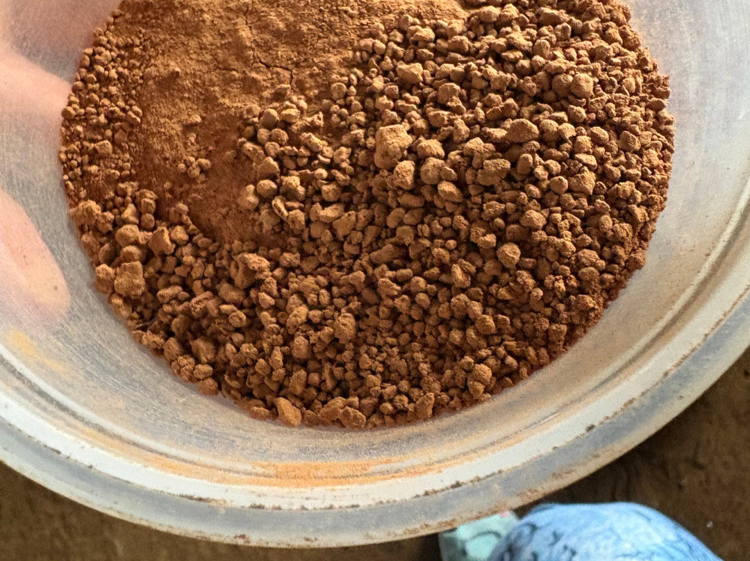 Tree Chocolate Tour景点图片