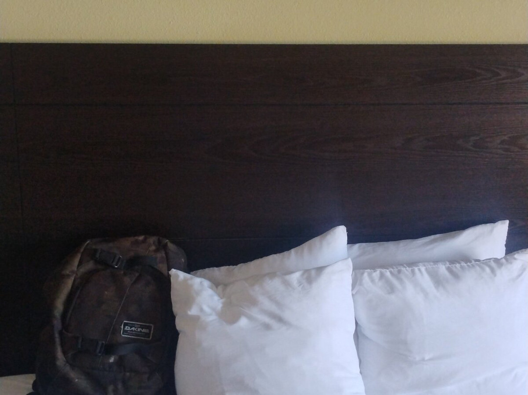 Baymont by Wyndham Farmington主图