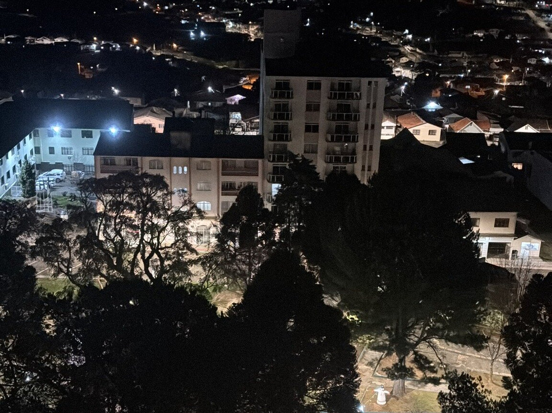 Sao Joaquim Park Hotel主图