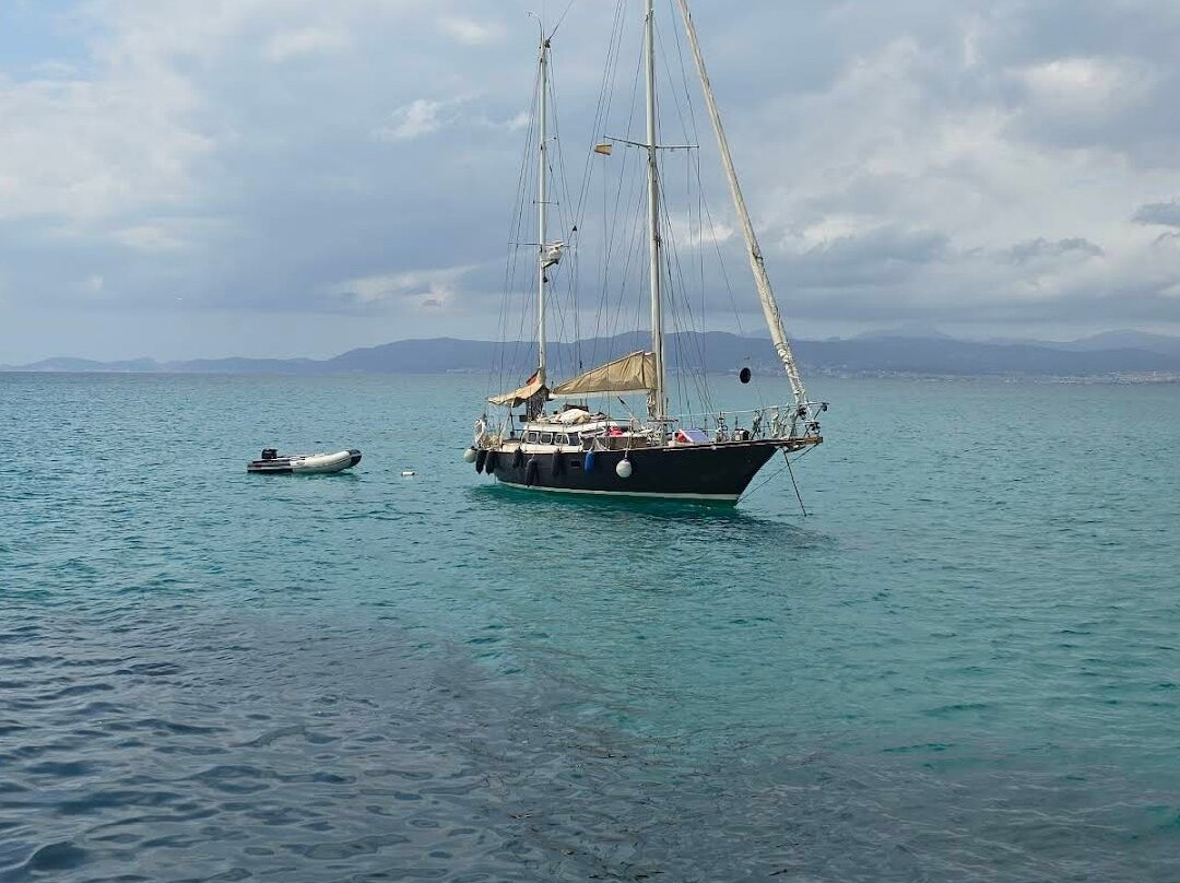 Boat Tours - Vela Mayorca-马洛卡帕尔马必去景点
