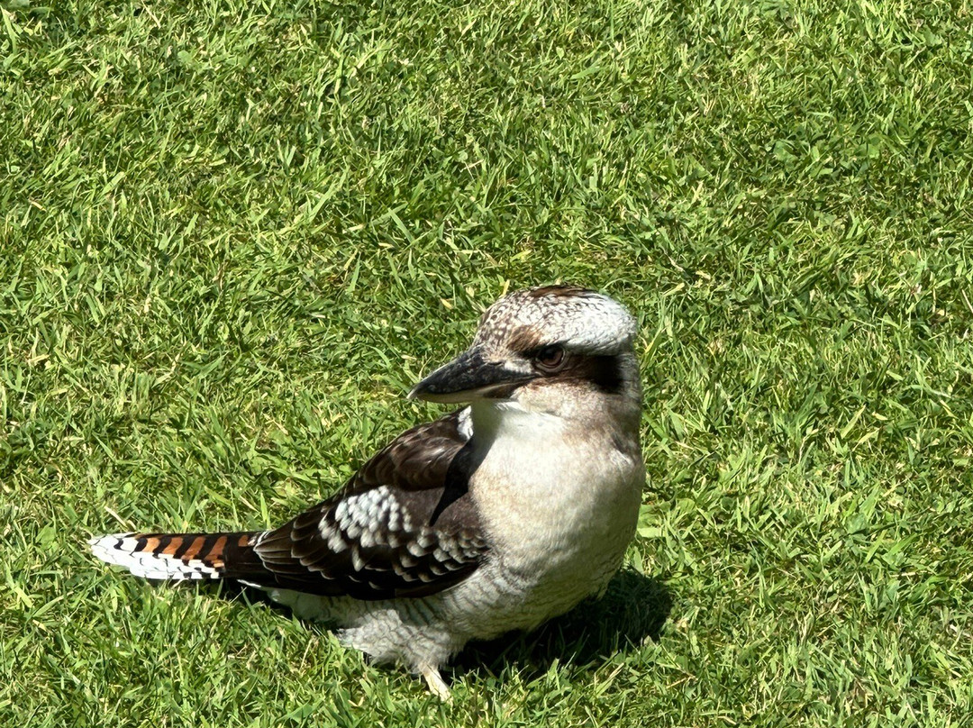 Bridlington Animal Park景点图片