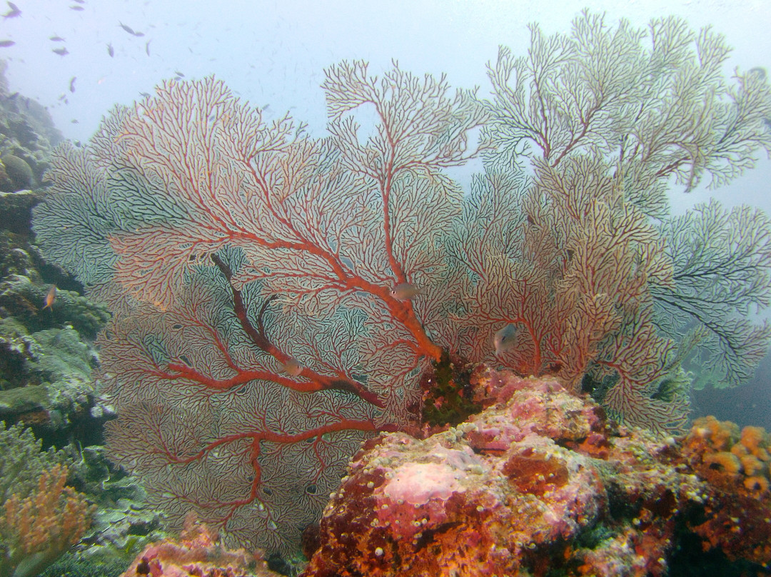 Babou Cote Ocean-Hienghène必去景点