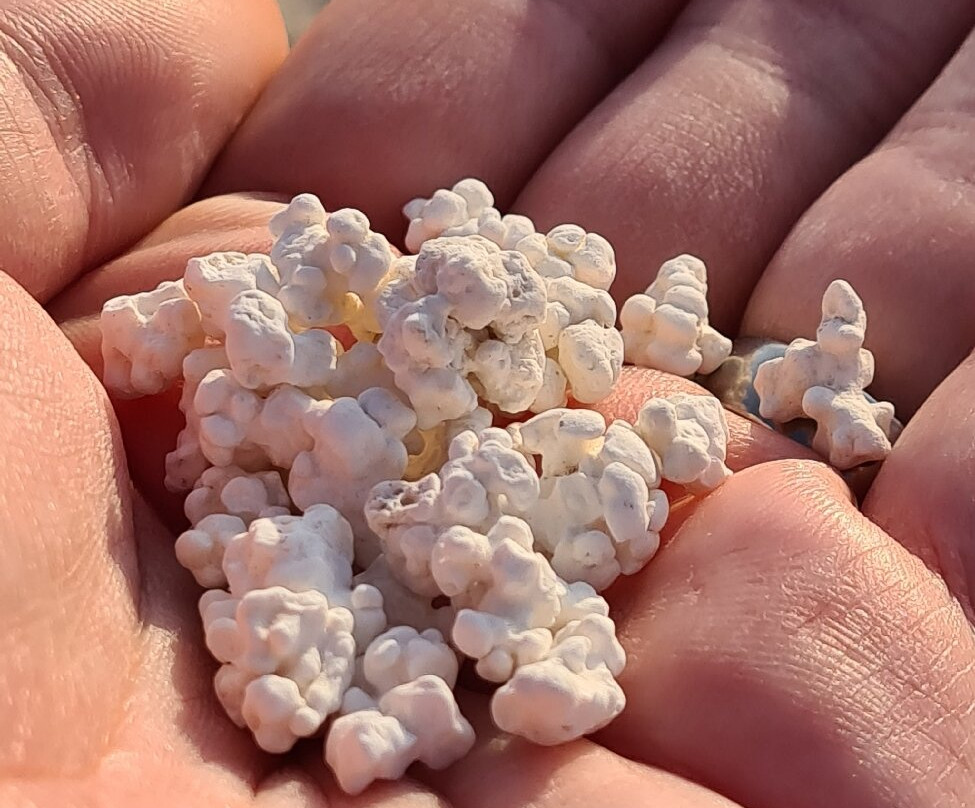 Popcorn Playa-科拉雷侯必去景点