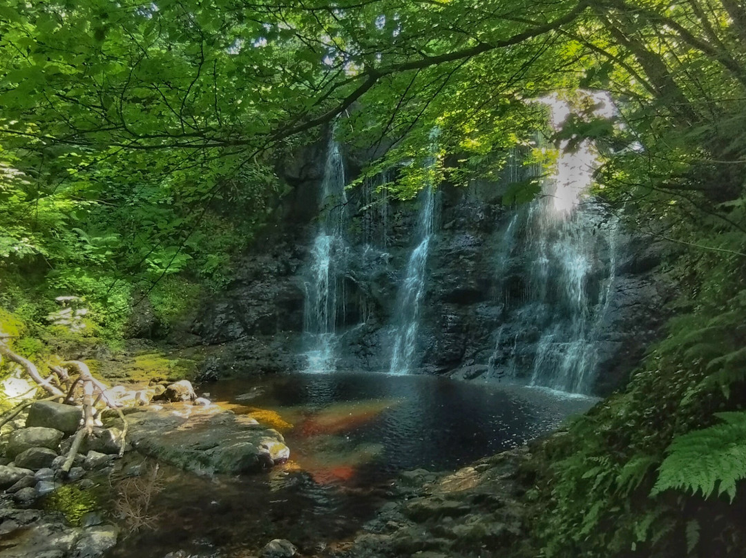 Glenariff Forest Park-County Antrim必去景点