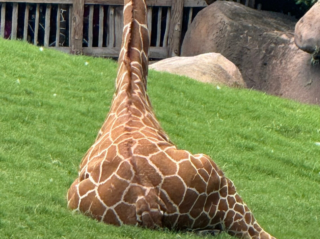 Fort Worth Zoo-沃思堡必去景点