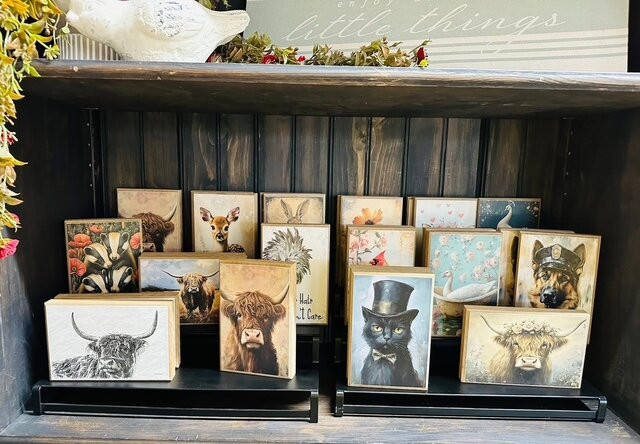 Salvage Sisters, A Repurposed Store-Baxter必去景点