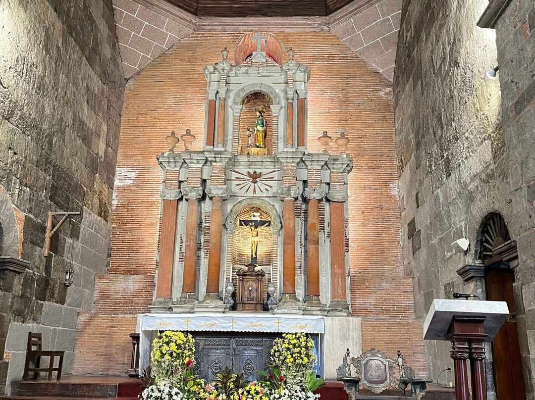 The Bamboo Organ and Museum Ttour-拉斯皮纳斯市必去景点