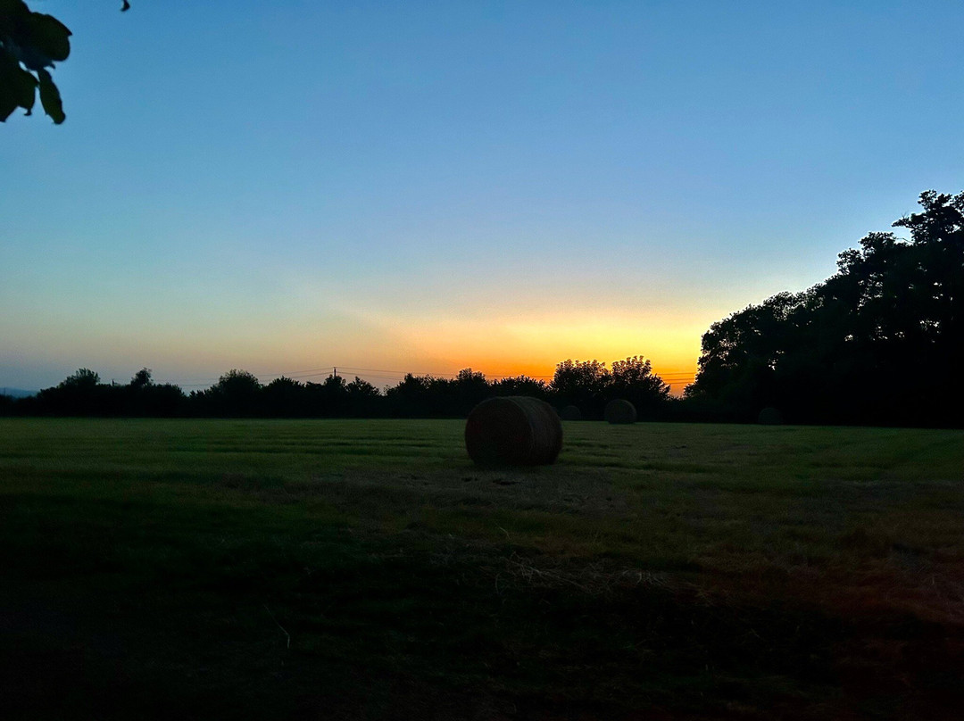 La Maison Castaings主图