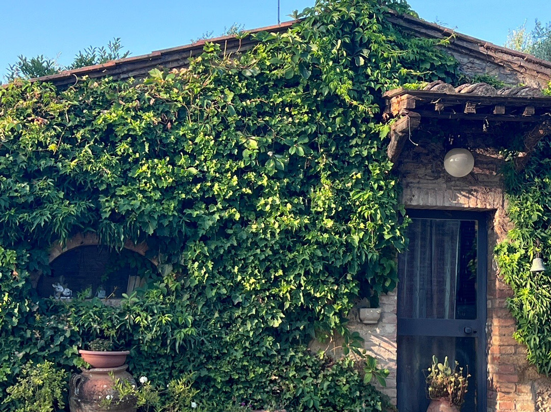 Podere le vigne主图