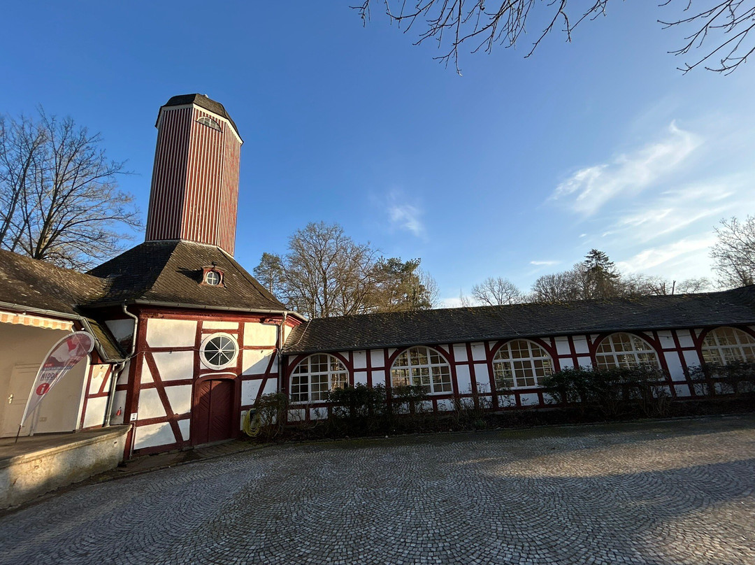 拜德萨祖尔森库豪斯酒店主图