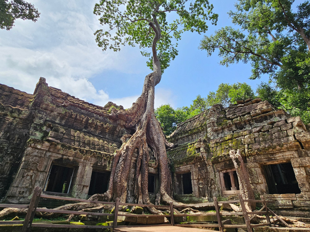 Wang Siem Reap Driver-暹粒必去景点