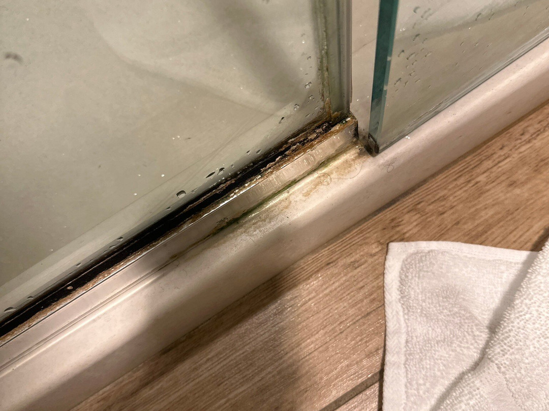 Hilton Garden Inn Akron主图