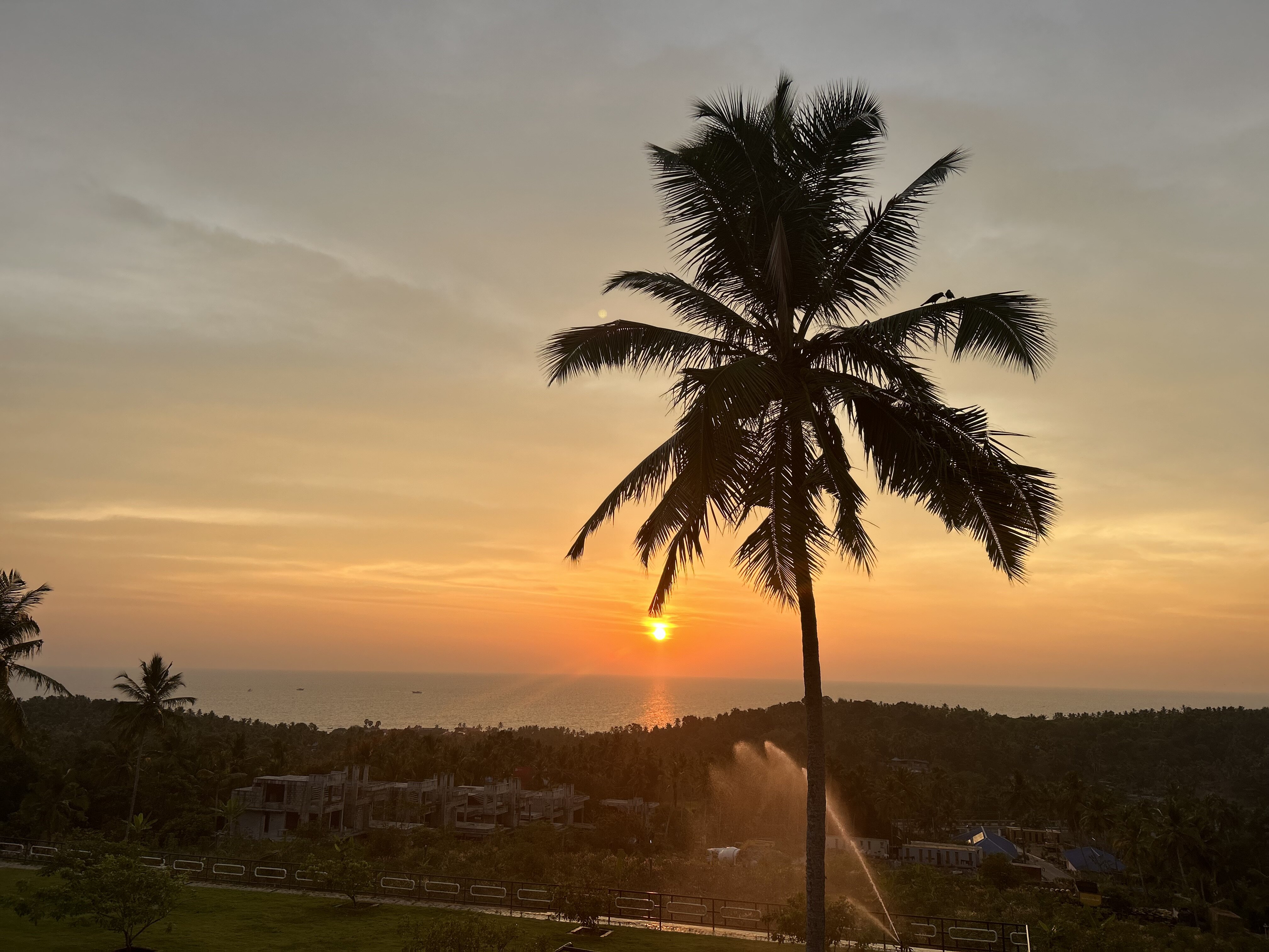 Aanandakosha Ayurveda Retreat-酒店景观