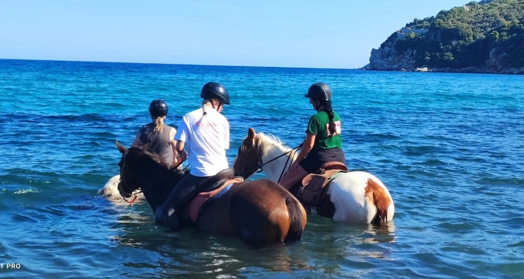 Skiathos Riding Centre-斯亚索斯必去景点