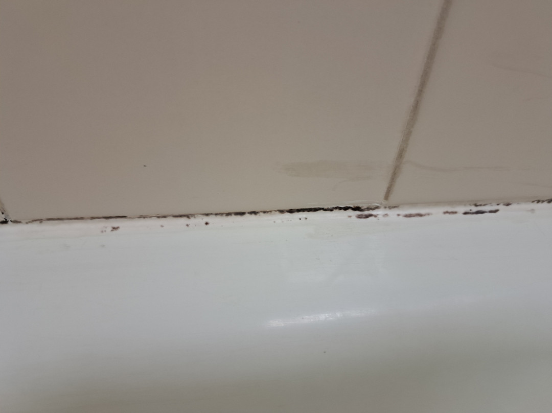 Days Inn by Wyndham Montrose主图