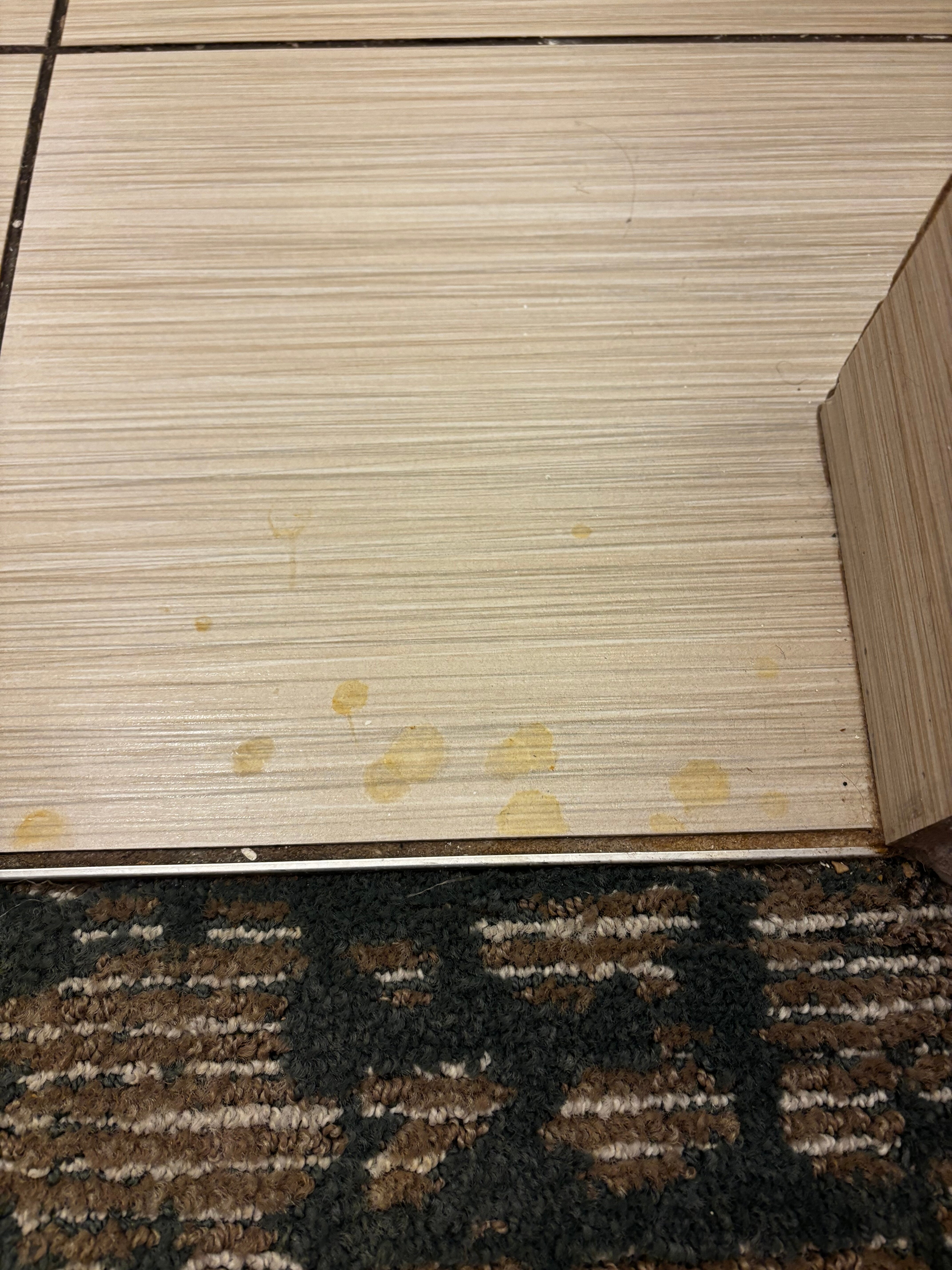 Homewood Suites by Hilton Atlanta/Perimeter Center-客卧