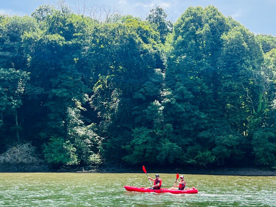 Totnes Kayaks-Stoke Gabriel必去景点