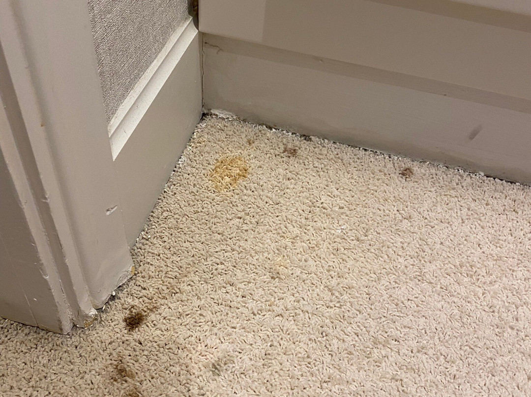 The Kefalari Suites主图