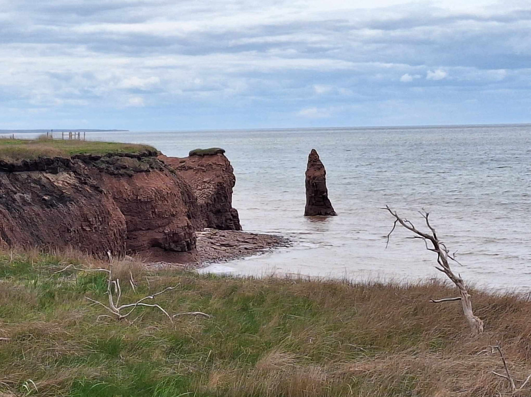 Tailwind Cycling Tours Pei-Stratford必去景点