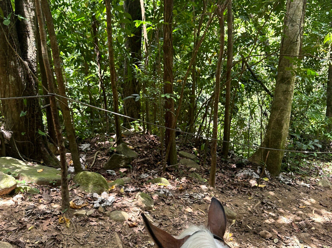 La Vista Rides-Rio Grande必去景点