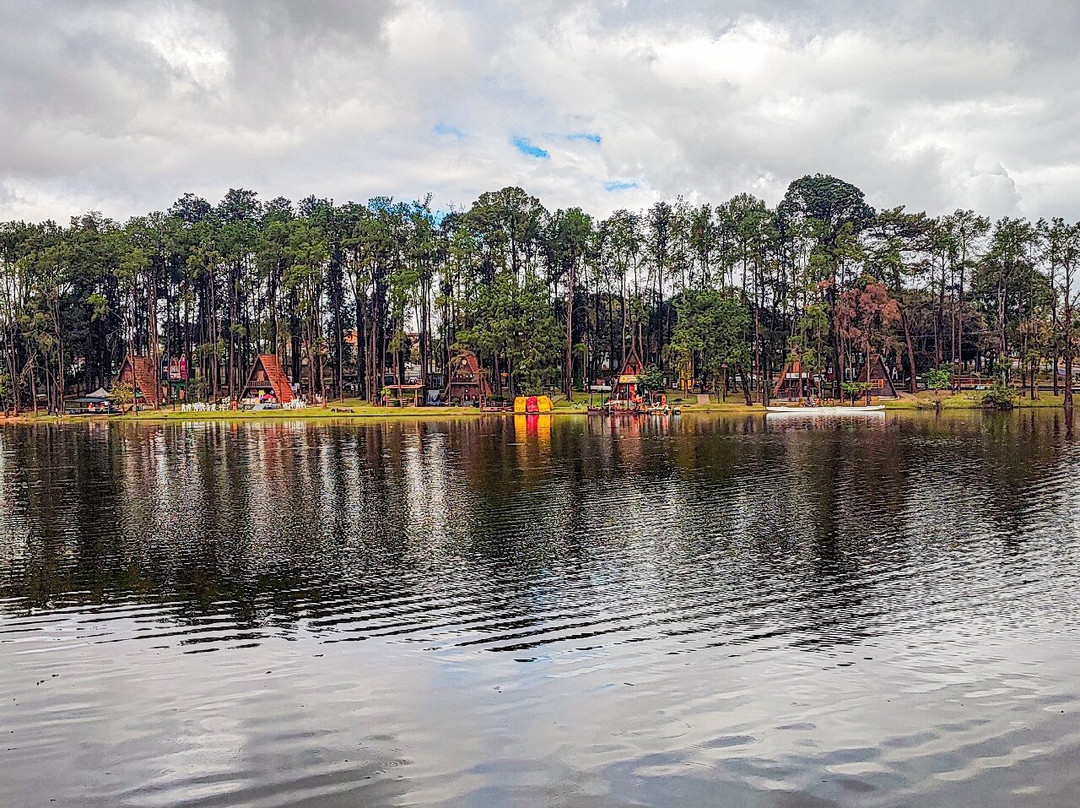 Parque Van Gogh-Holambra必去景点