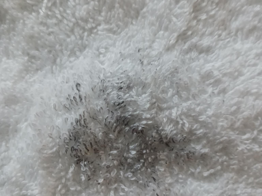 Days Inn by Wyndham Farmville主图