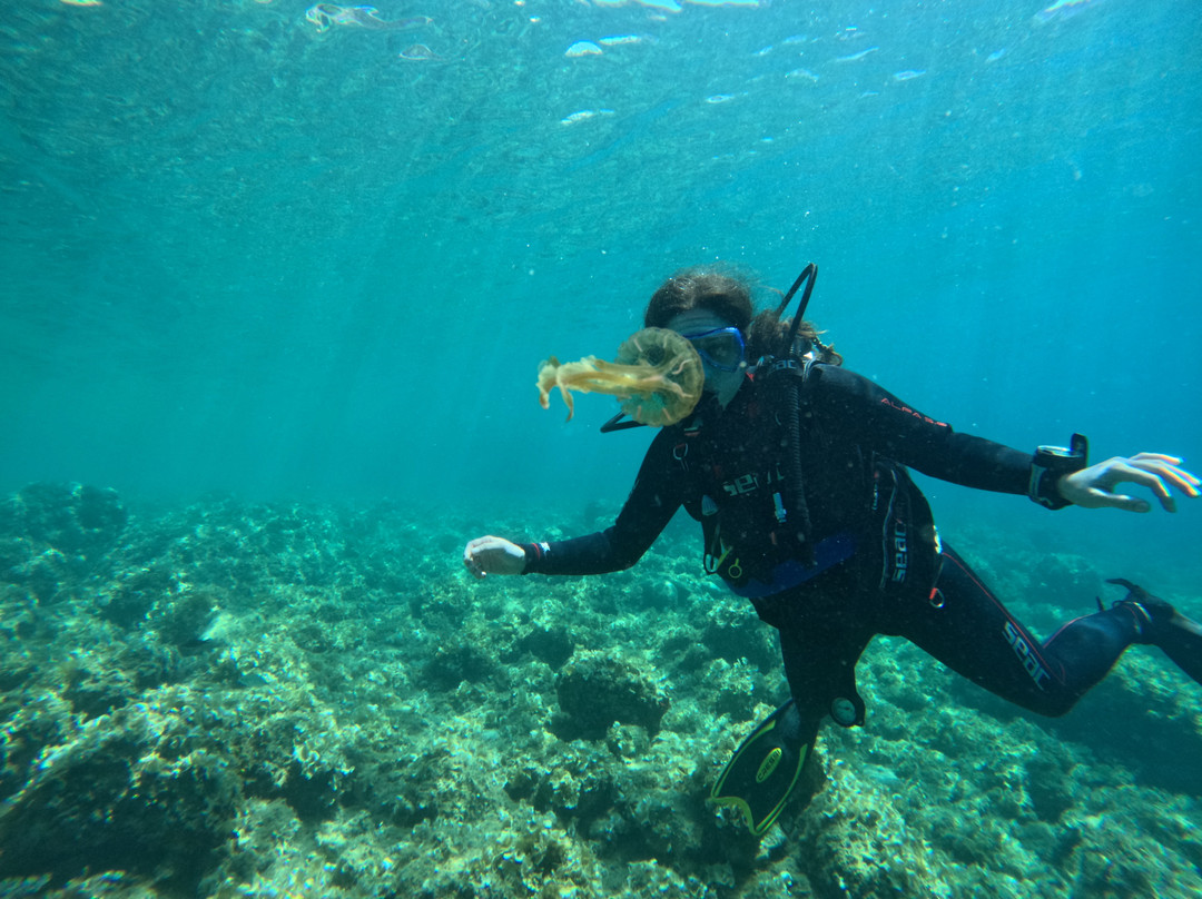 Argonauta Diving Resort-Rovies必去景点