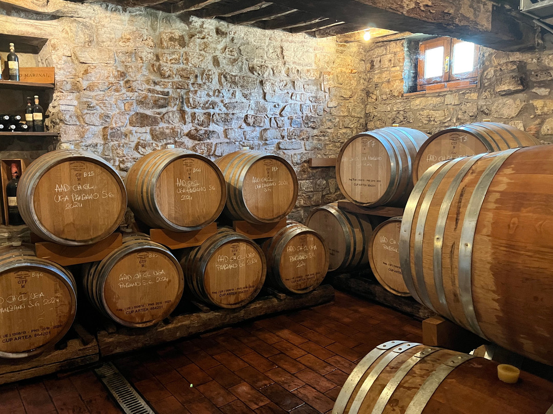 Renzo Marinai Chianti Farm And Vineyards