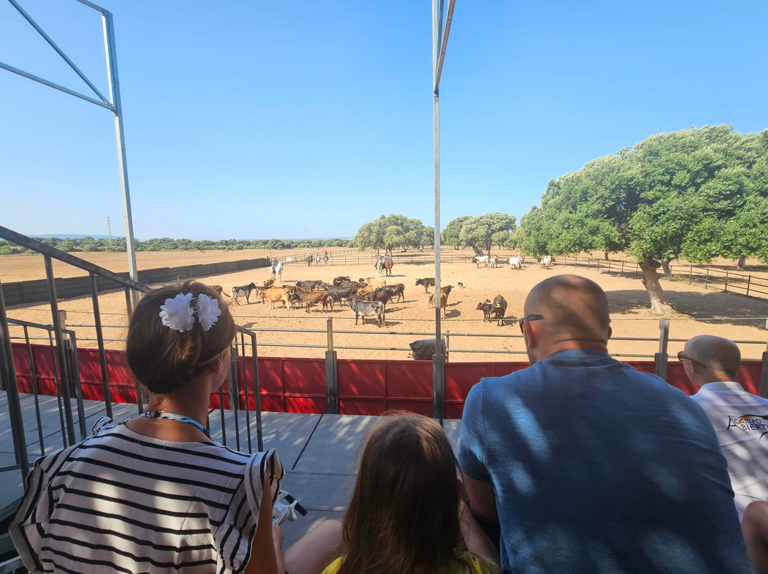 A Campo Abierto-Medina-Sidonia必去景点