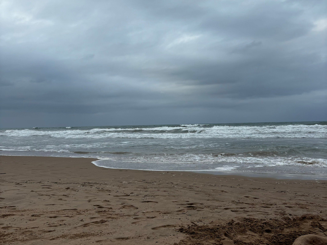 Platja de Daimús-戴姆斯必去景点