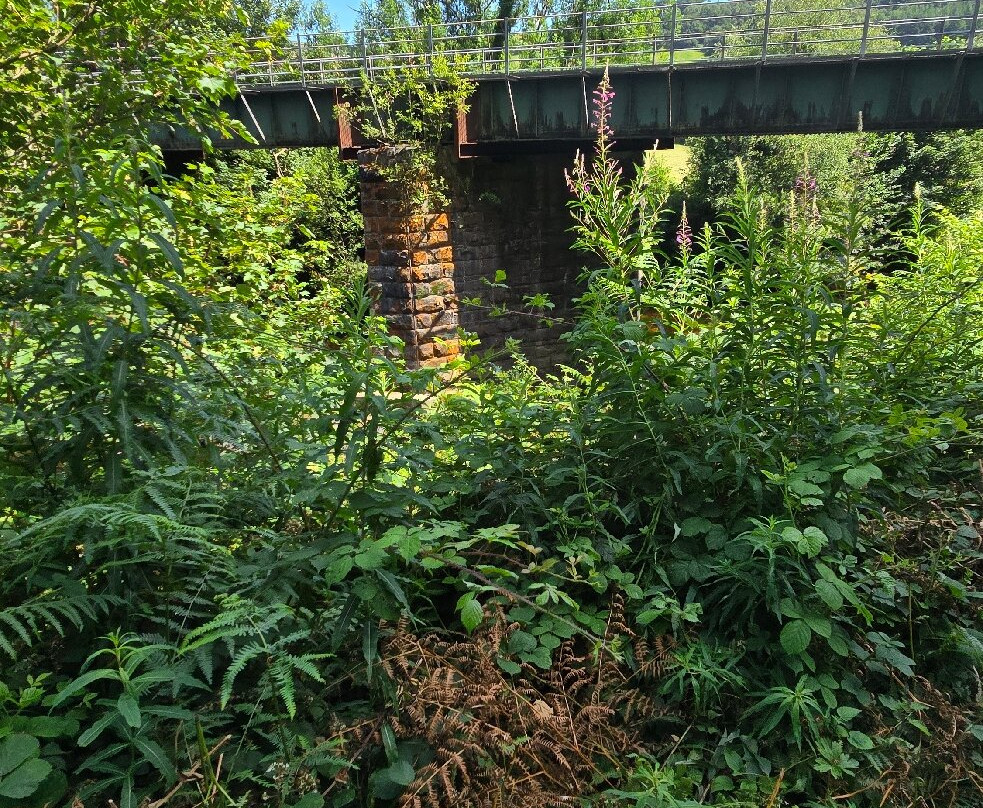 Avondale House & Forest Park-County Wicklow必去景点