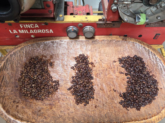 Panamadventure Travels and Tourguide services-波魁特必去景点