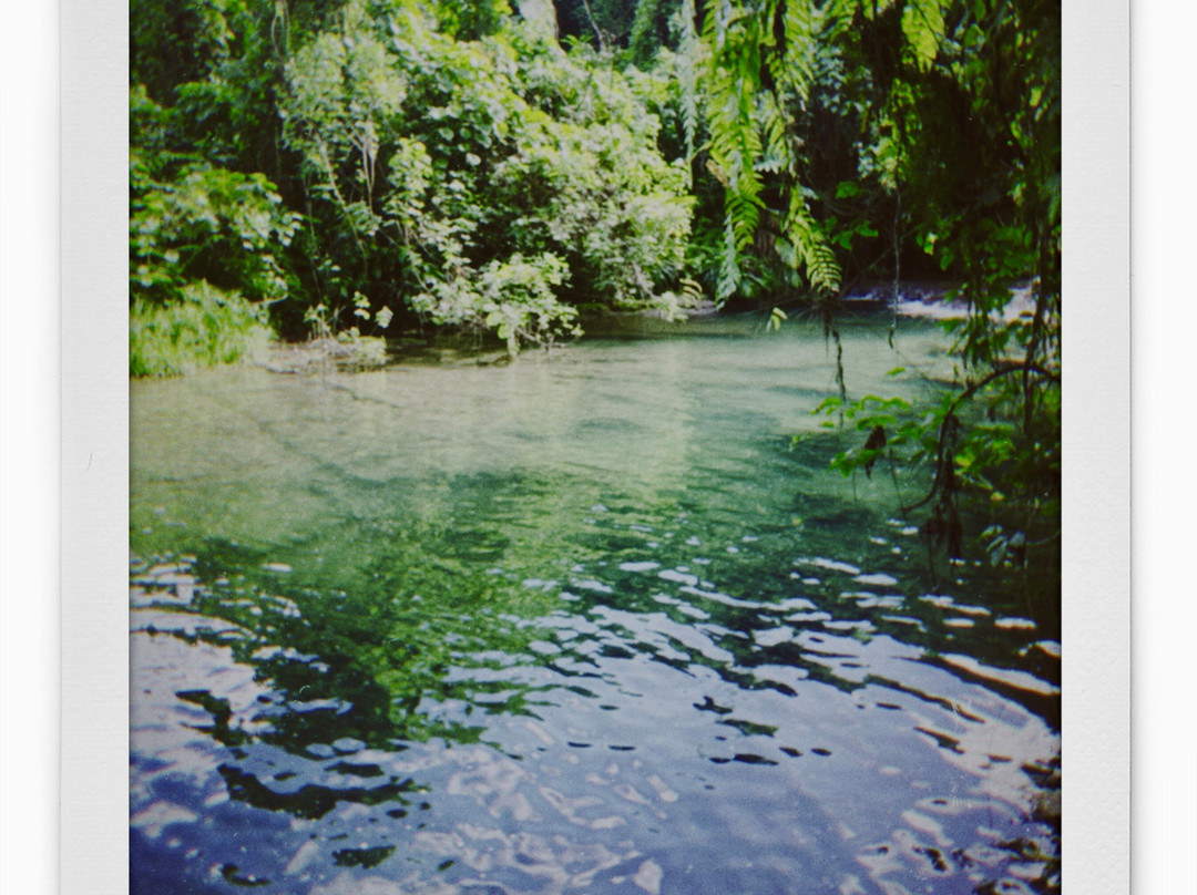 Eden on the River-维拉港必去景点