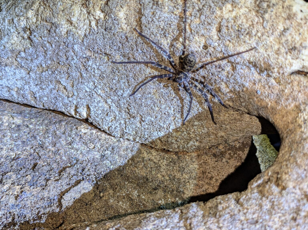 Bat Cave-武吉拉旺必去景点