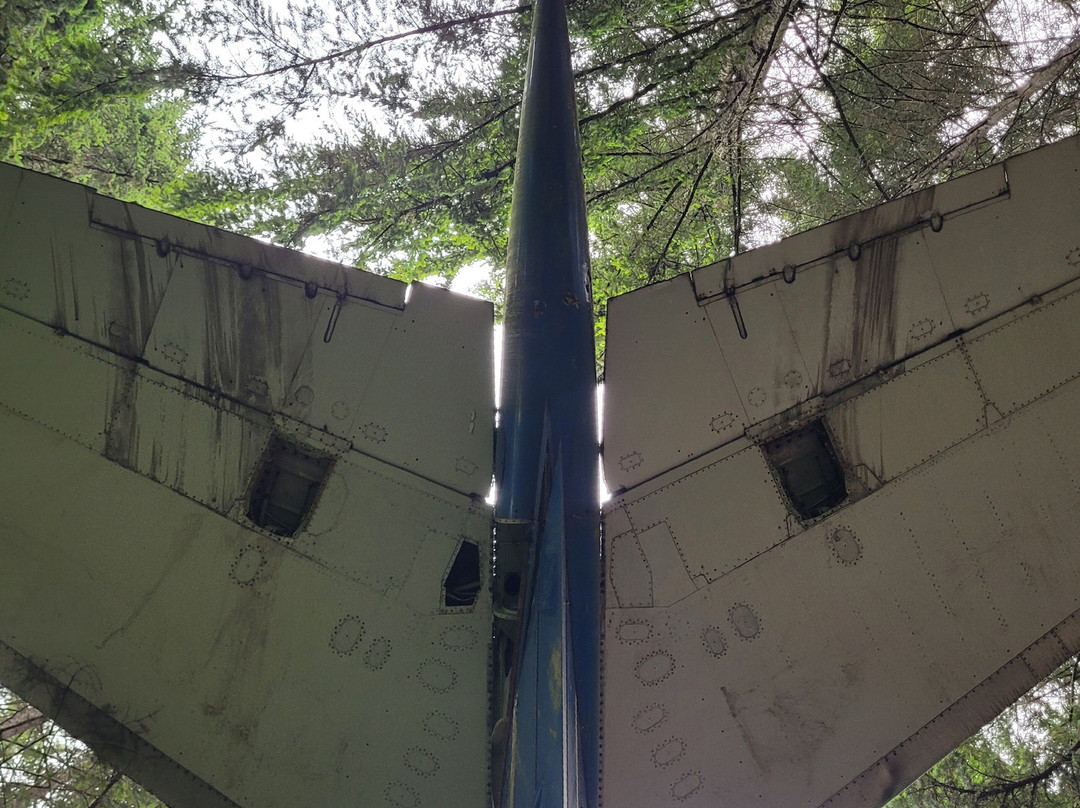 Airplane Home-希尔斯伯勒必去景点