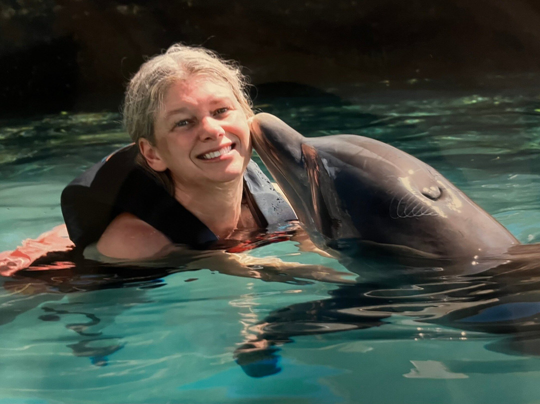 Dolphin Quest-Sandys Parish必去景点