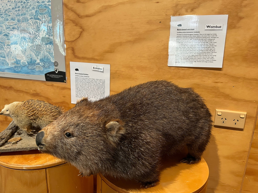 Lake St Clair Visitor Centre-摇篮山圣克莱尔湖国家公园必去景点